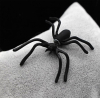 Kadın Siyah Renk Gotik Tarz Tek Kulak İçin Örümcek Küpe - Thumbnail (4)